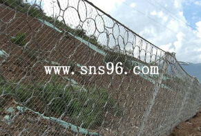 被动环形网有怎样的性能特点
